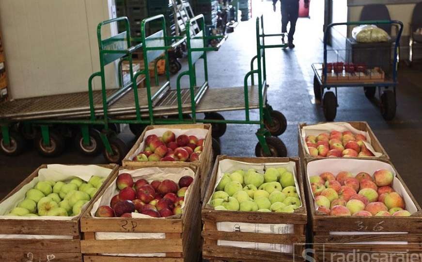 Mirko Šarović danas o zabrani uvoza jabuka u Rusiju 