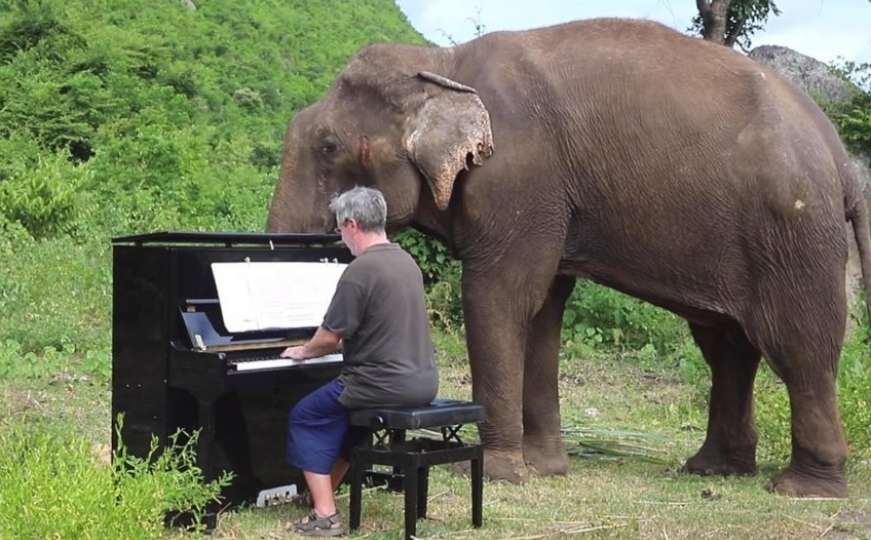Lijepa starost: Britanski pijanista klasikom opušta slonove