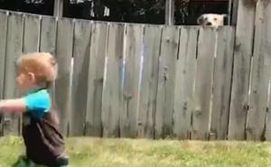 Za pravo prijateljstvo ni ograda nije prepreka