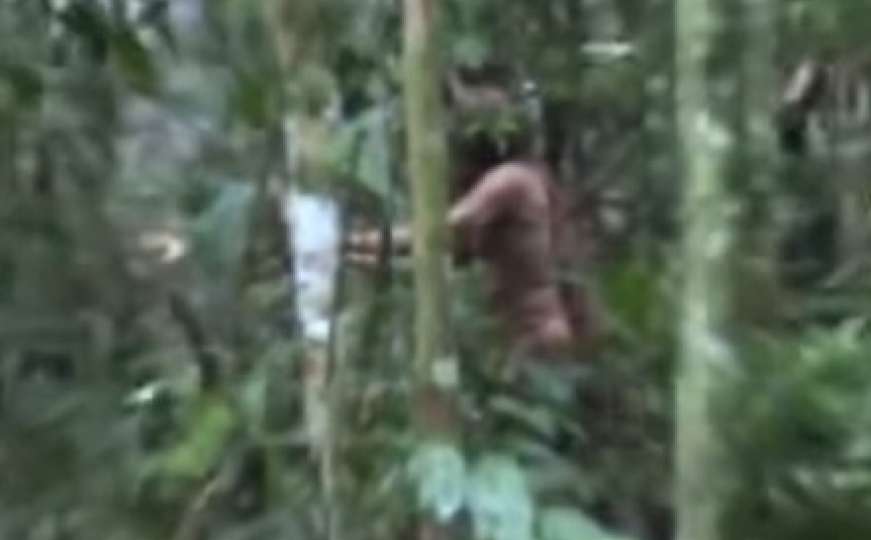 Sam u džungli 22 godine: Snimljen posljednji preživjeli član nestalog plemena