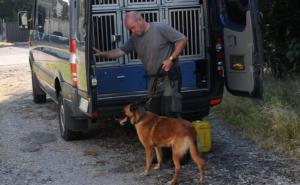 Obračun u njemačkom Halleu: Bosanac izbo Latvijca, policija traži nož