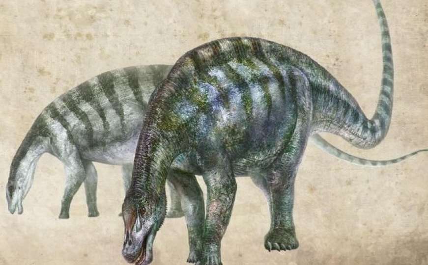 Kako je otkriće "zmaja" u Kini promijenilo ono što smo znali o sauropodima