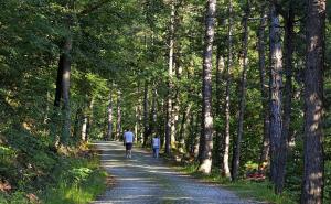 Ljekovite vode Gubera: Neiskorišteni potencijal Srebrenice