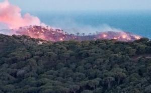 Na području Trebinja: Požar kod graničnog prijelaza Klobuk zaprijetio kućama