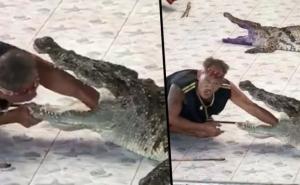 Uznemirujući video: Krokodil napao "krotitelja"
