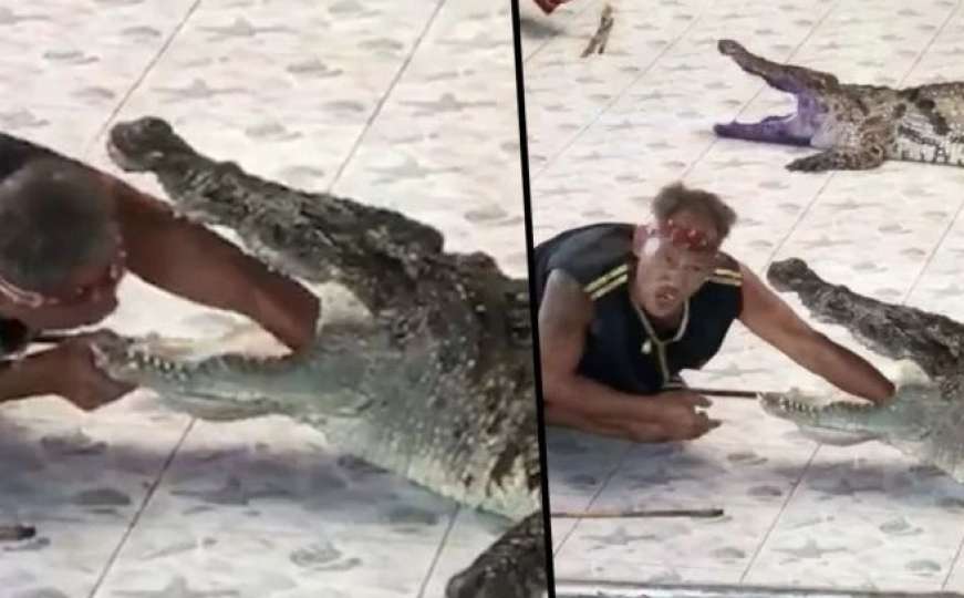 Uznemirujući video: Krokodil napao "krotitelja"