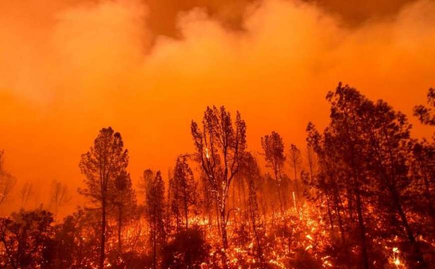 Požar u Kaliforniji: 3.300 vatrogasaca, 330 vozila i 17 helikoptera bespomoćno