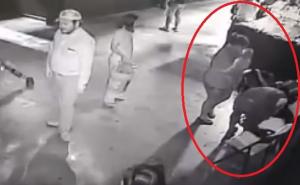 Lopovi ukrali ajkulu iz akvarijuma, umotali je u dekicu i iznijeli u kolicima za bebe