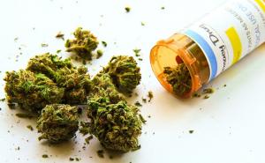 MUP KS: Zašto je marihuana najopasnija droga