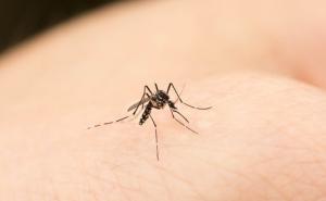 Devetoro ljudi umrlo od virusa zapadnog Nila u Srbiji