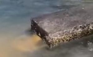 Ogorčeni mještani Kaštela snimili ispuštanje fekalija direktno u more