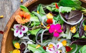 Pročitajte koje je cvijeće jestivo