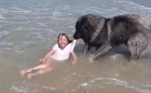 Najslađi video: Pas "spašava" djevojčicu od valova