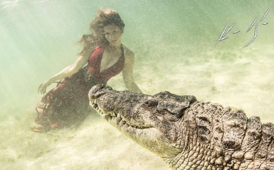 Nevjerovatne fotografije: Modeli u večernjim haljinama zaronili među krokodile