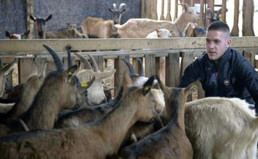 Fudbalski klub prodao 18 igrača da kupi 10 koza