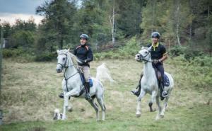 Nesvakidašnji događaj u Tarčinu: Utrka daljinskog jahanja