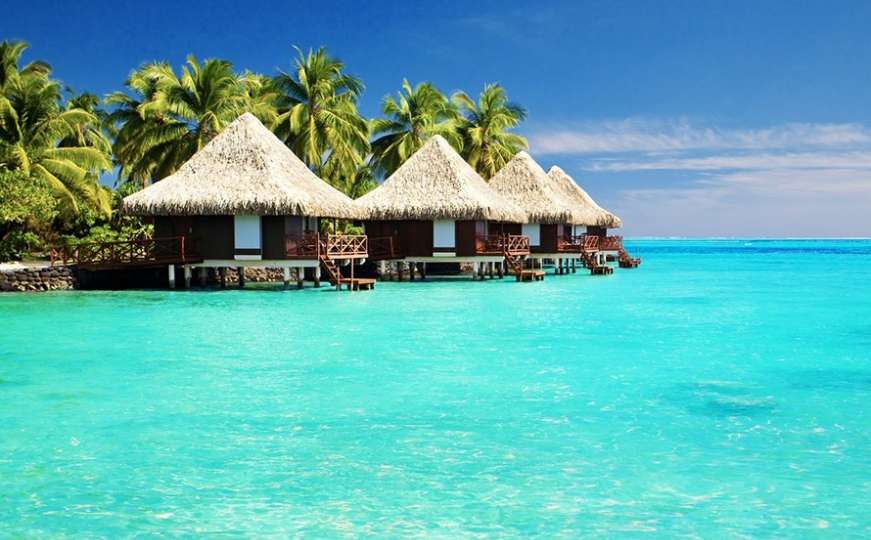 Luksuzno odmaralište na Maldivima traži bibliotekara