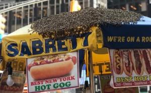 Nesvakidašnji prizori u New Yorku: Pčele "okupirale" Times Square