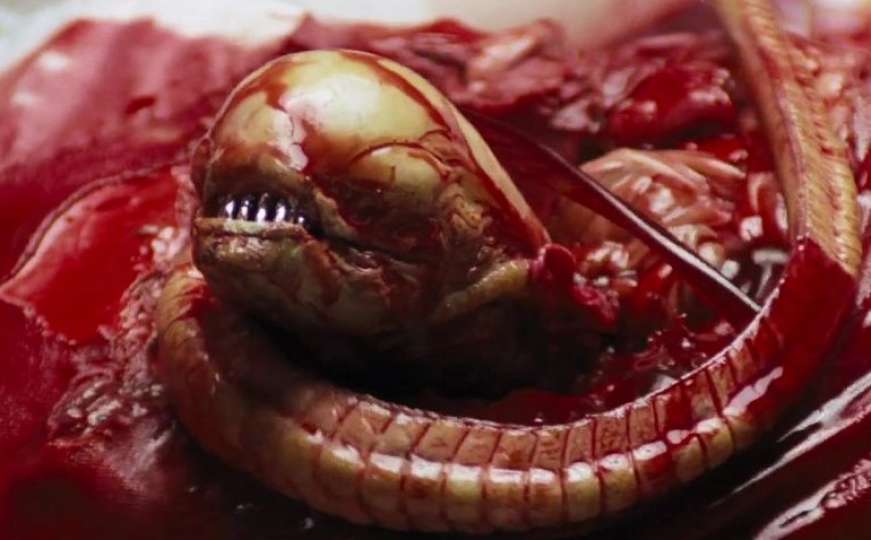 Nazvane prema čudovištu iz filma Alien: Otkrivena čudnovata vrsta osa