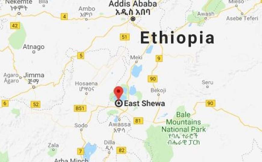 Pao avion u Etiopiji: 17 mrtvih, ima i djece