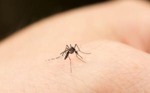 U Banjoj Luci umro pacijent koji je imao virus grоznicе zаpаdnоg Nila