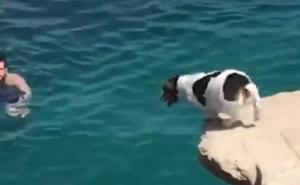 Pas koji uživa u skokovima u vodu
