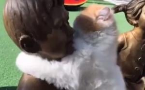 Interesantna scena: Mačka uživa grliti kip