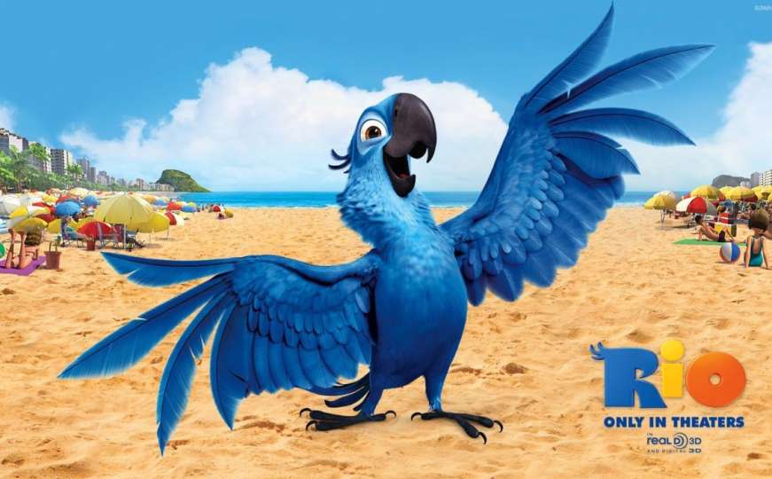 Plavi papagaj koji je inspirirao dječiji film Rio više ne postoji u divljini