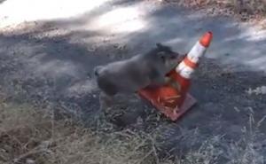 Princip je isti sve su ostalo nijanse