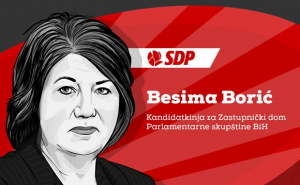 Infografika: Besima Borić, kandidatkinja SDP za  PS BIH