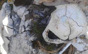 Posmrtni ostaci: Amir iz Kalinovika pronašao kostur i vojnički šljem na Treskavici