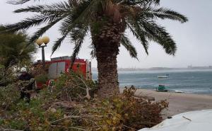 Haos u Dalmaciji: Vjetar čupao drveće, valovi visoki pet metara