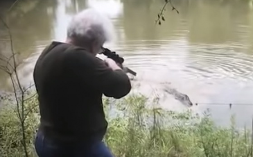 Starica ubila ogromnog aligatora iz osvete, jer je pojeo njenog ponija