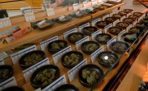 Oglas za posao: Zaradite 760 KM mjesečno, tako što ćete samo pušiti marihuanu