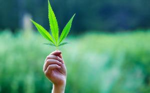 Da li je marihuana uzrok vaše depresije: Provjerite šta kaže nauka