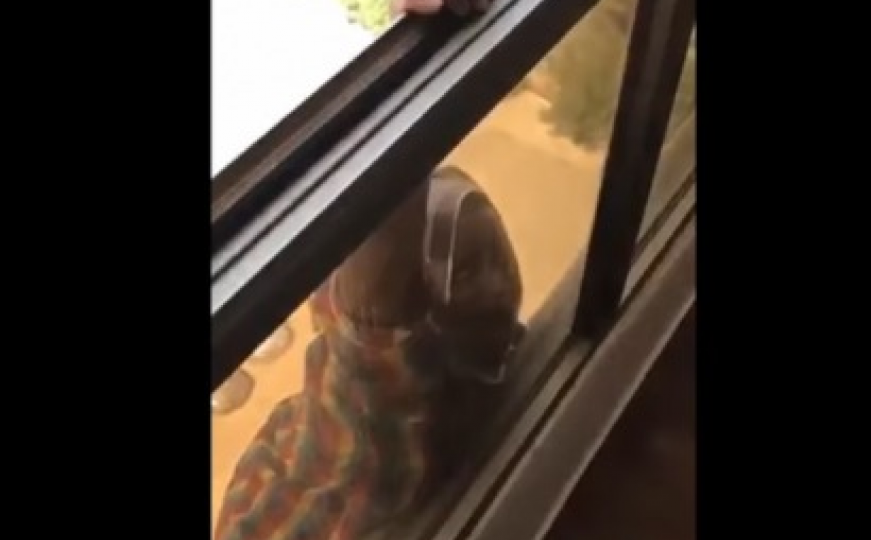 Osuđena okrutna Kuvajćanka koja je snimala svoju sluškinju kako pada s prozora