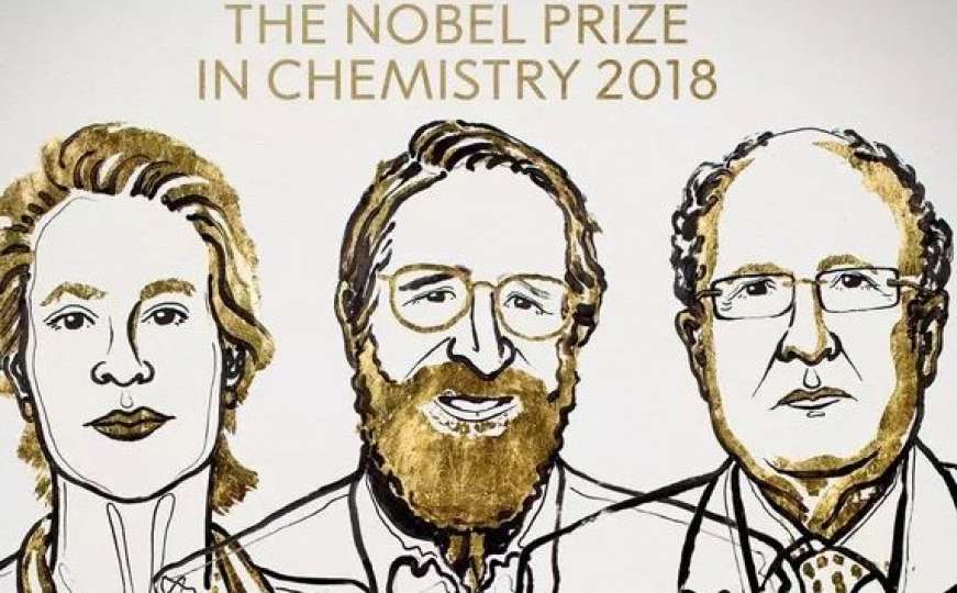 Arnold, Smith i Winter dobitnici Nobelove nagrade za hemiju