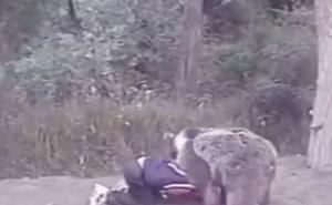 Pogledajte stari snimak: Devetogodišnji Khabib se bori s medvjedom
