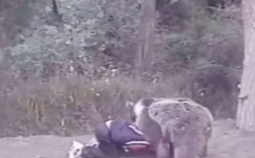 Pogledajte stari snimak: Devetogodišnji Khabib se bori s medvjedom