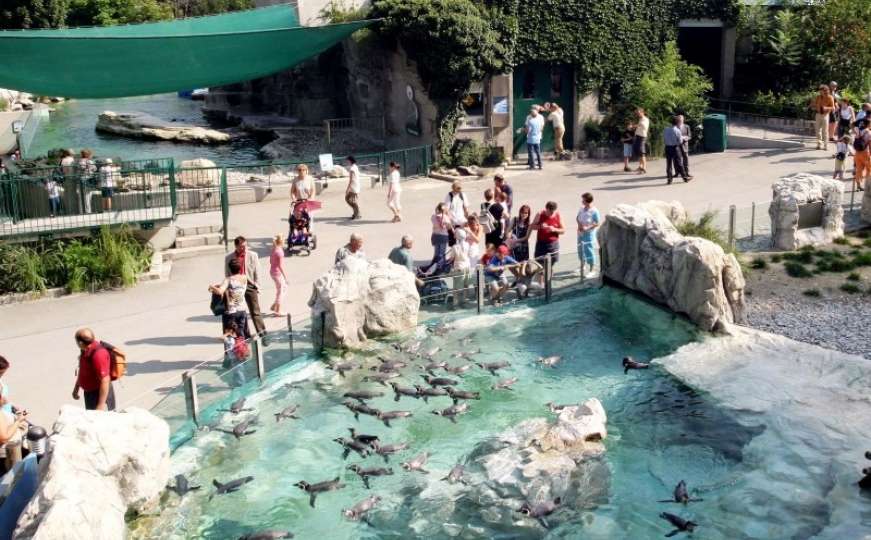 Bečki Schönbrunn po peti put izabran za najbolji zoološki vrt u Europi