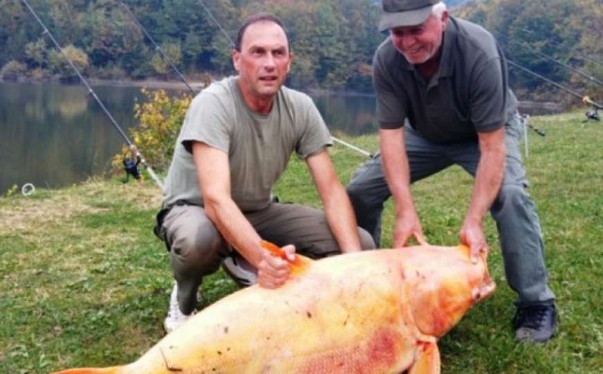Zoran na jezeru upecao zlatnog tolstolobika teškog 62 kilograma
