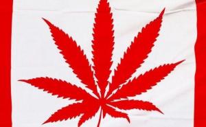 Kanada zakonito duva: Marihuana od ponoći legalna u ovoj zemlji