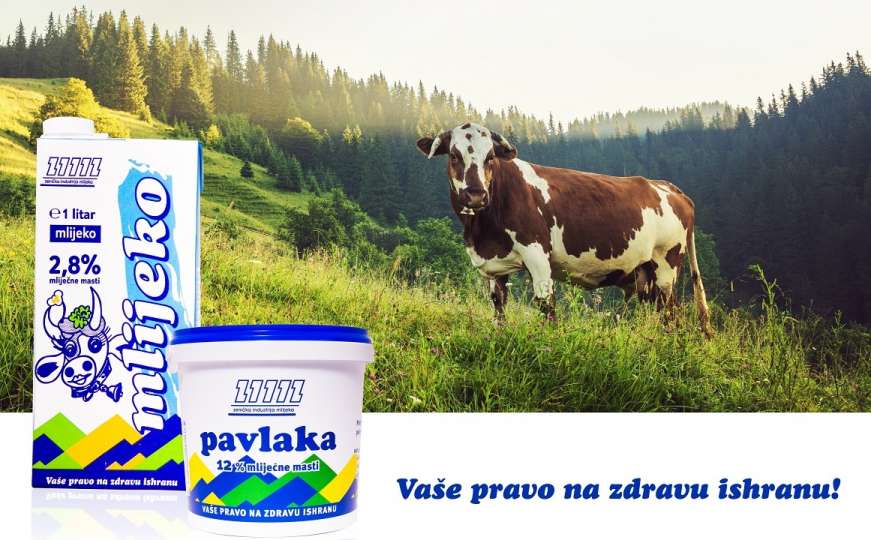 ZIM: BiH ima sve predispozicije za proizvodnju i izvoz zdravog mlijeka