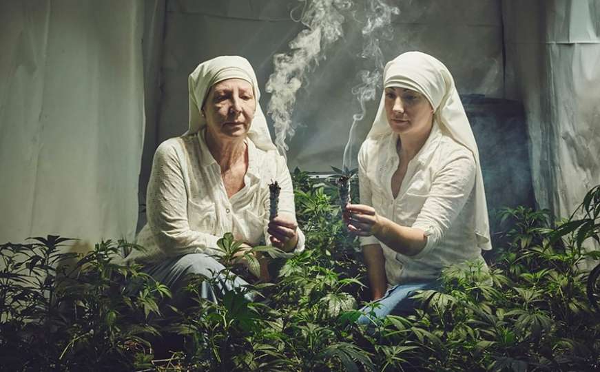 Ona je istinski Božiji dar: Upoznajte časne sestre koje uzgajaju marihuanu