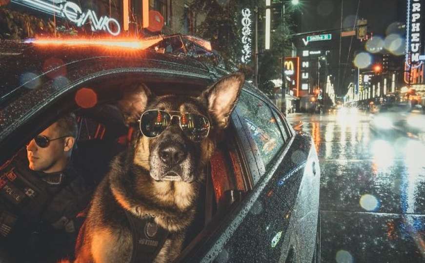Predivan kalendar: Policijski psi u humanoj misiji