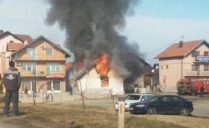 Pas žrtvovao svoj život da bi spasio dječaka