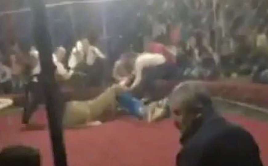 Uznemirujući snimak: Lavica napala četvorogodišnju djevojčicu u cirkusu