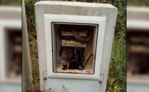 Mostar: Radnik u kutiji s telefonskim instalacijama pronašao - zmiju