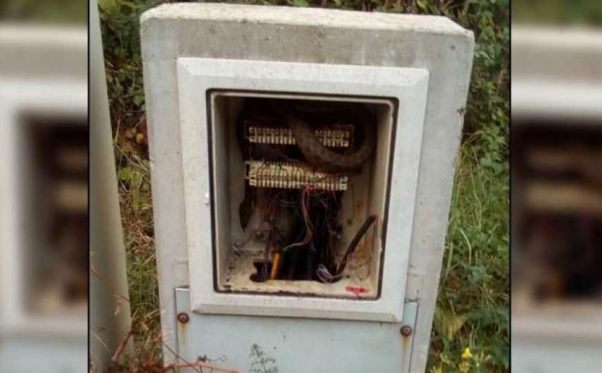 Mostar: Radnik u kutiji s telefonskim instalacijama pronašao - zmiju