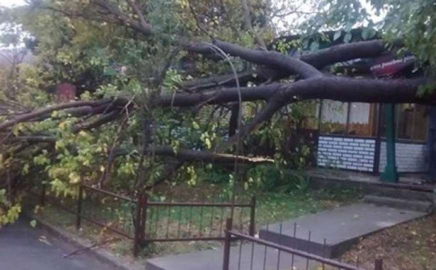Orkansko jugo poharalo Dalmaciju, rušilo stabla u Mostaru, udari od 162 km/h